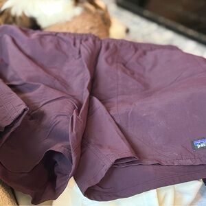 Patagonia men’s Plum Purple Shorts